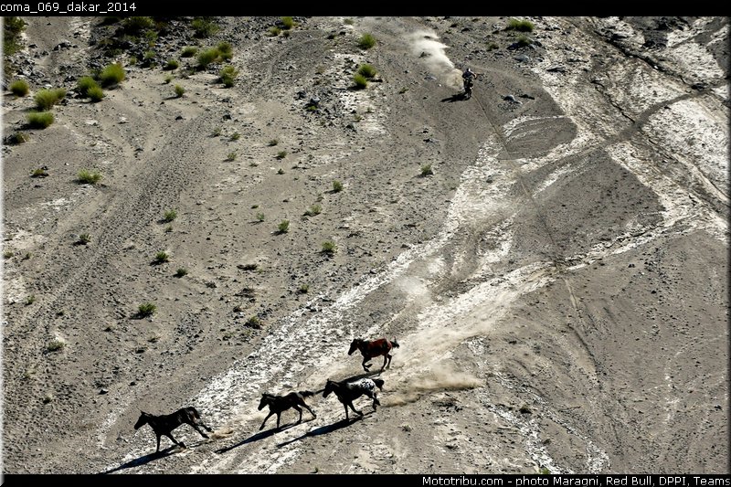 coma_069_dakar_2014