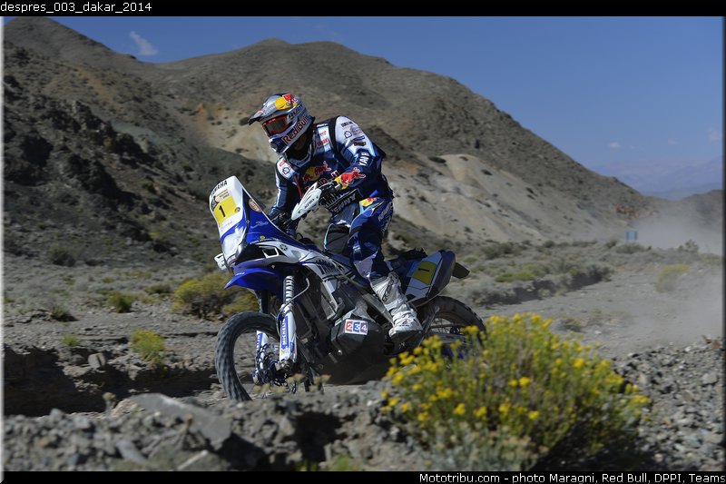 despres_003_dakar_2014