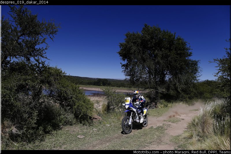 despres_019_dakar_2014