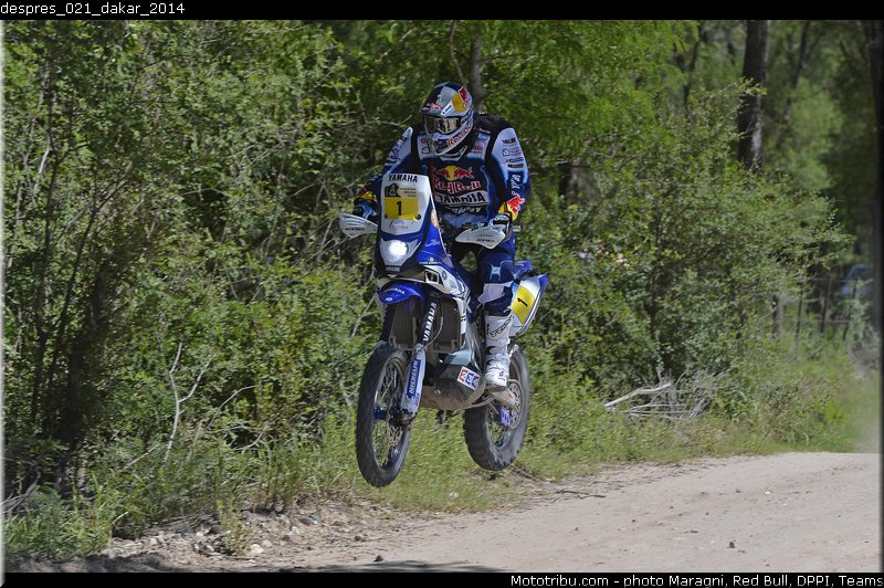 despres_021_dakar_2014