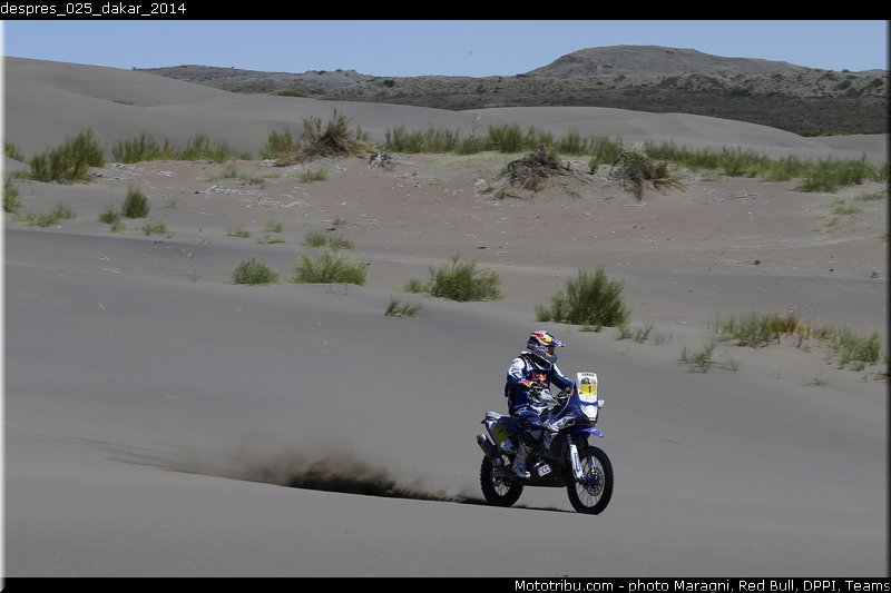 despres_025_dakar_2014