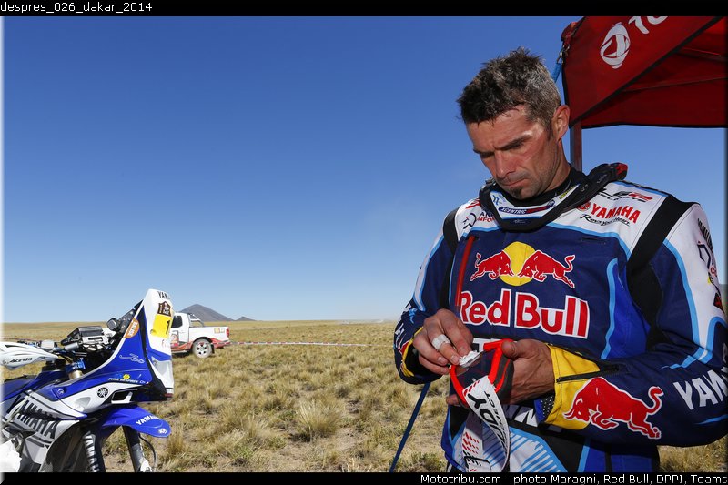 despres_026_dakar_2014