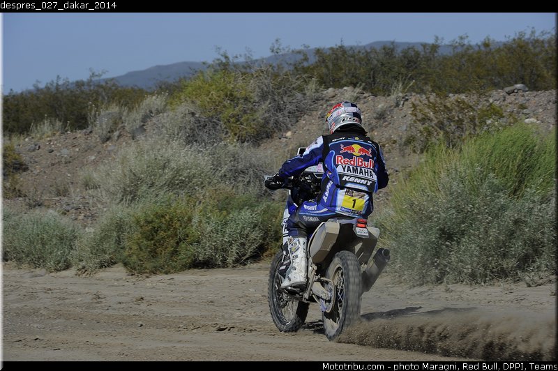 despres_027_dakar_2014