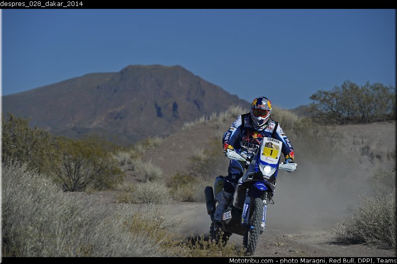 despres_028_dakar_2014