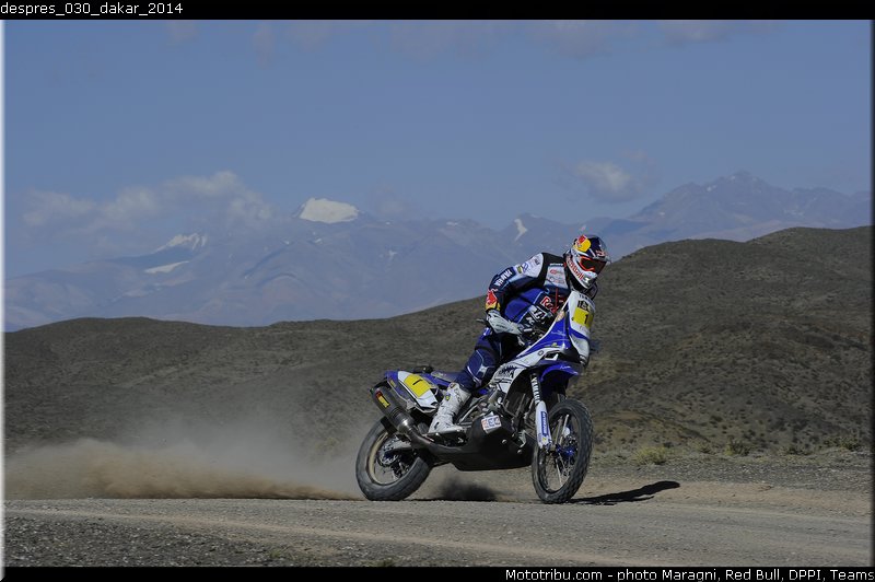 despres_030_dakar_2014