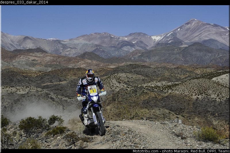 despres_033_dakar_2014