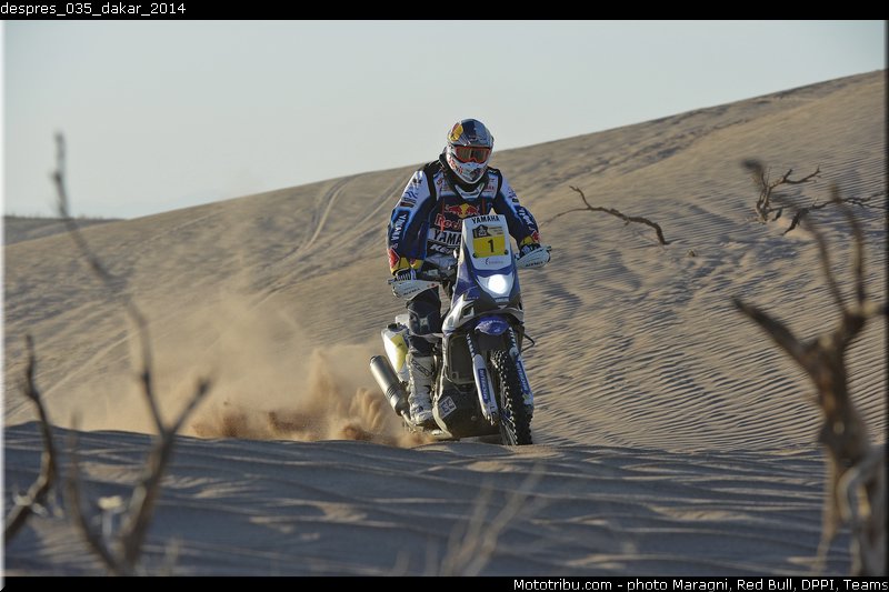 despres_035_dakar_2014