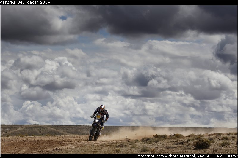 despres_041_dakar_2014