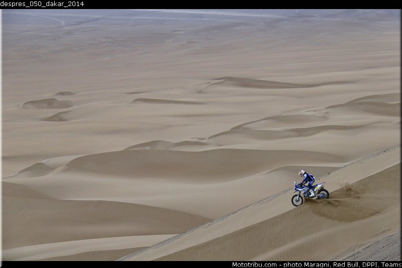 despres_050_dakar_2014