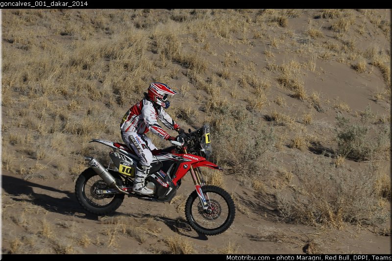 goncalves_001_dakar_2014