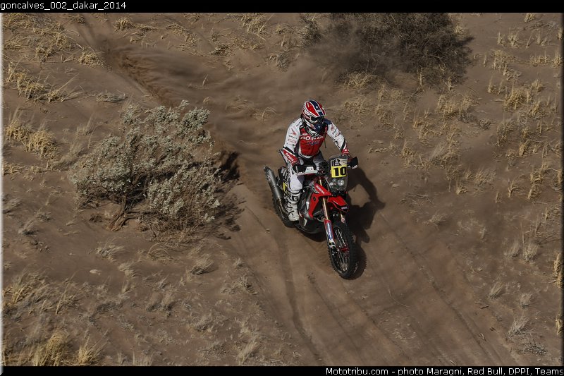 goncalves_002_dakar_2014