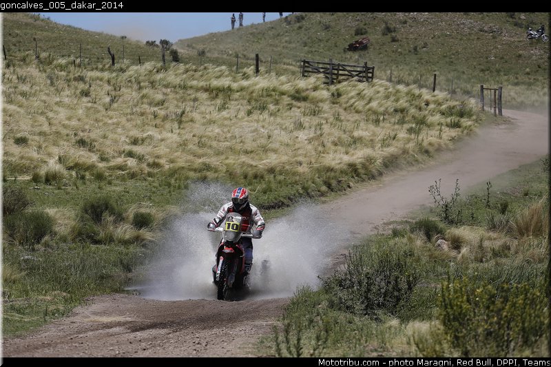 goncalves_005_dakar_2014