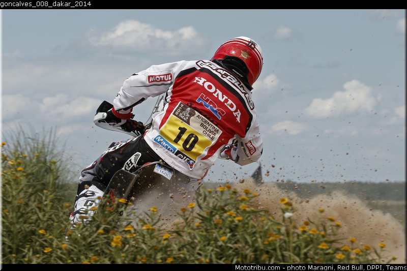 goncalves_008_dakar_2014
