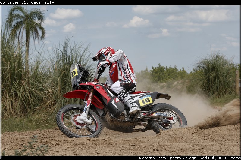 goncalves_015_dakar_2014