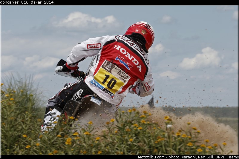 goncalves_016_dakar_2014
