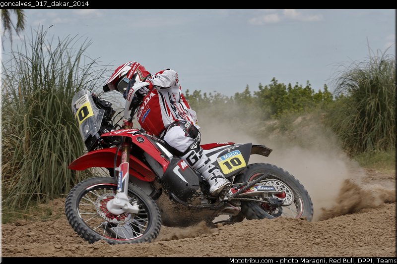 goncalves_017_dakar_2014