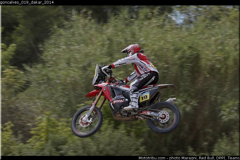 goncalves_019_dakar_2014