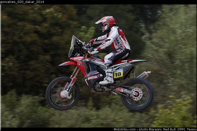 goncalves_020_dakar_2014