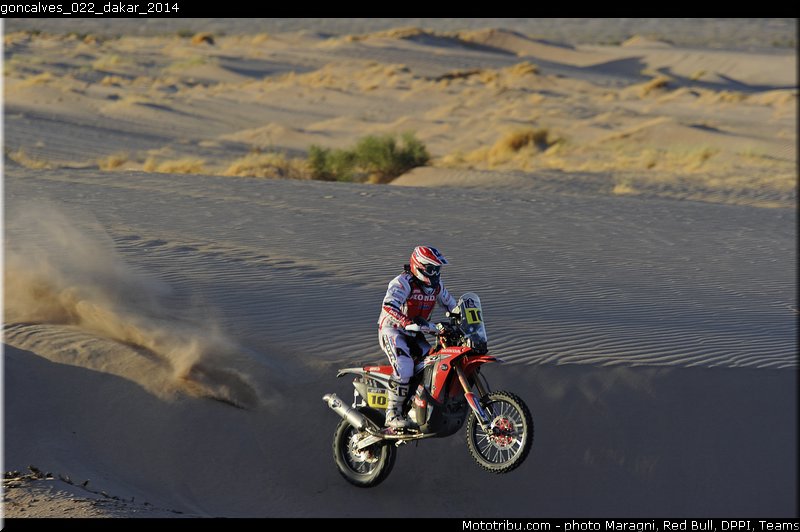 goncalves_022_dakar_2014