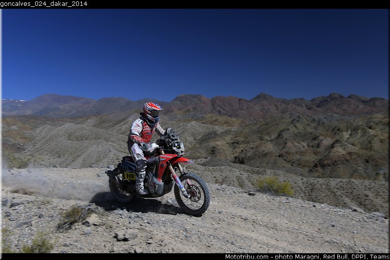 goncalves_024_dakar_2014