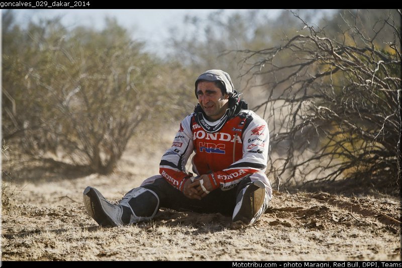 goncalves_029_dakar_2014