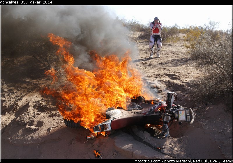 goncalves_030_dakar_2014