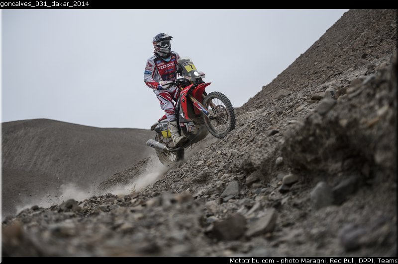 goncalves_031_dakar_2014