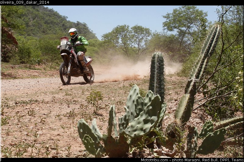 oliveira_009_dakar_2014