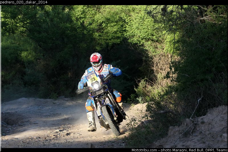 pedrero_020_dakar_2014
