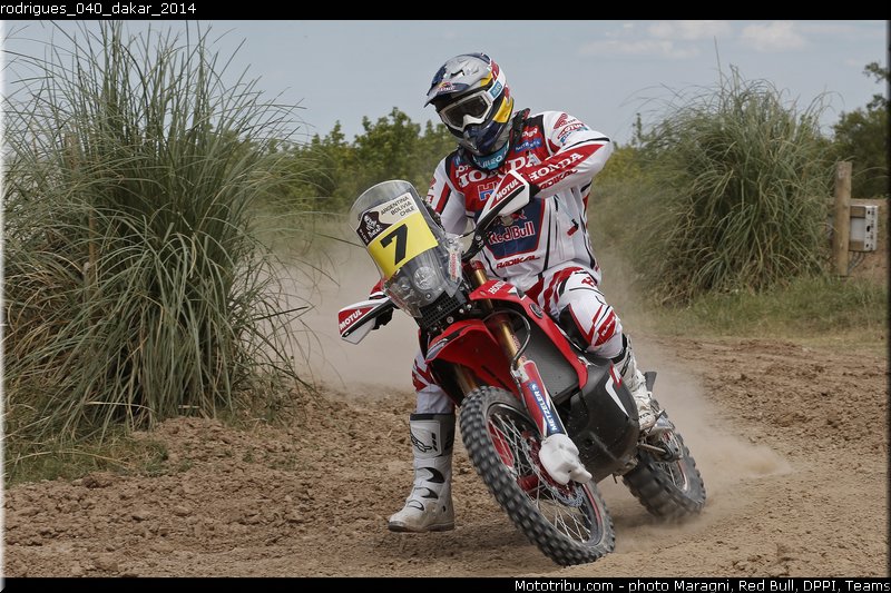 rodrigues_040_dakar_2014