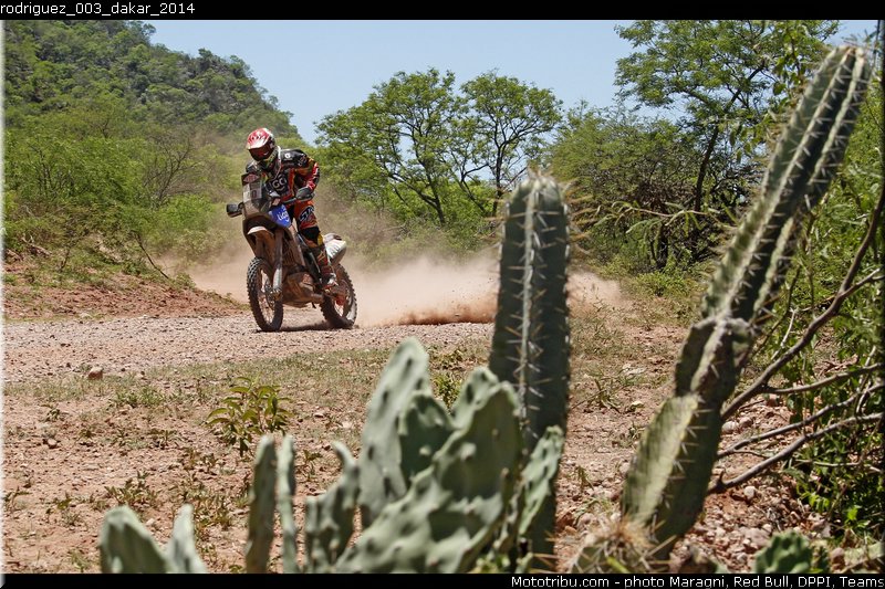 rodriguez_003_dakar_2014