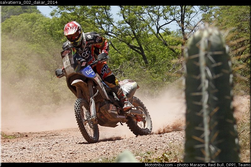 salvatierra_002_dakar_2014