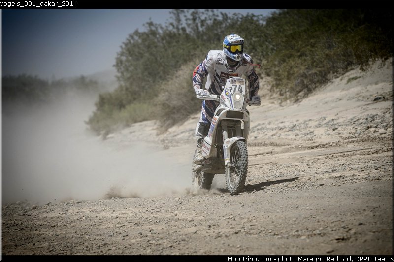vogels_001_dakar_2014