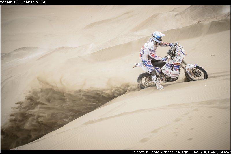vogels_002_dakar_2014