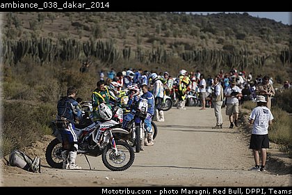 ambiance_038_dakar_2014.jpg