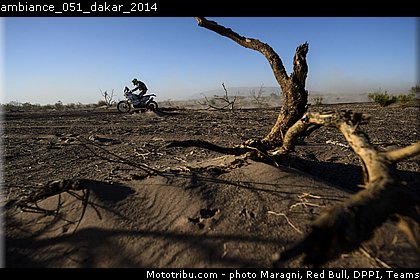 ambiance_051_dakar_2014.jpg