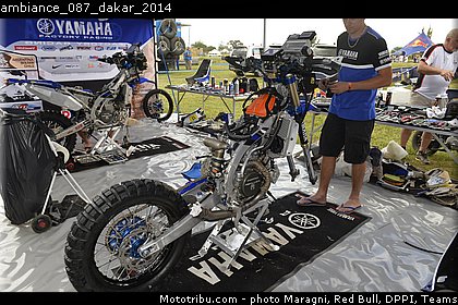 ambiance_087_dakar_2014.jpg