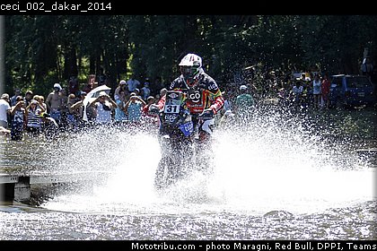 ceci_002_dakar_2014.jpg