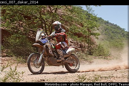 ceci_007_dakar_2014.jpg