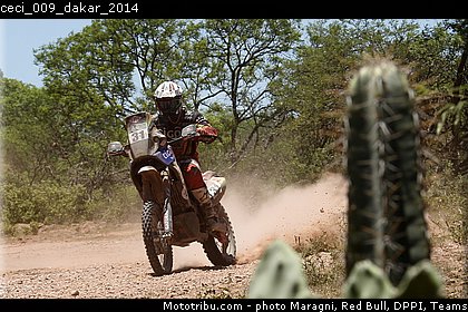 ceci_009_dakar_2014.jpg