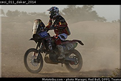 ceci_011_dakar_2014.jpg