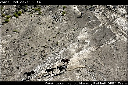 coma_069_dakar_2014.jpg