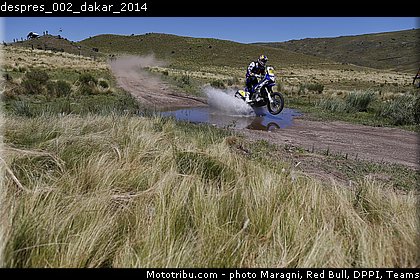 despres_002_dakar_2014.jpg