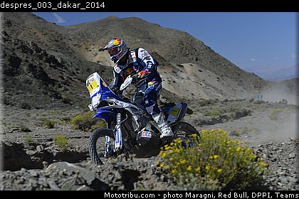despres_003_dakar_2014.jpg