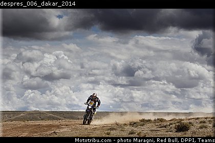 despres_006_dakar_2014.jpg