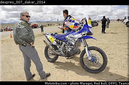 despres_007_dakar_2014.jpg