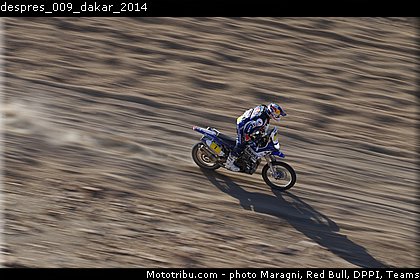 despres_009_dakar_2014.jpg