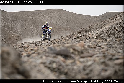 despres_010_dakar_2014.jpg