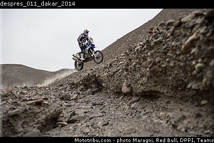 despres_011_dakar_2014.jpg