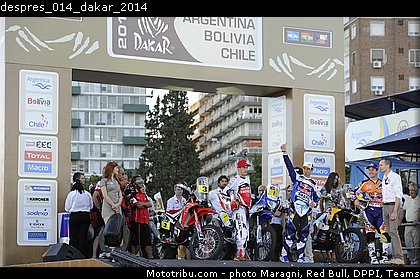 despres_014_dakar_2014.jpg